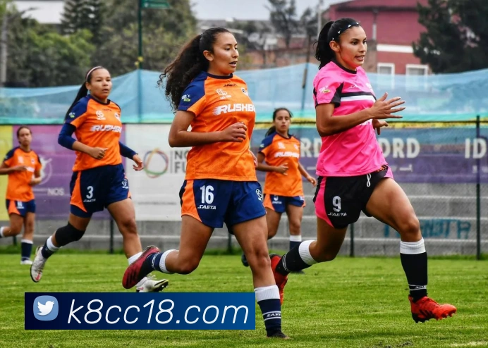 数据分析功能